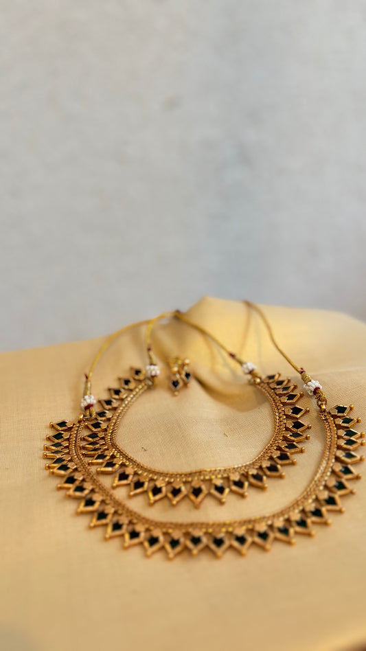 Palakka traditional new 1