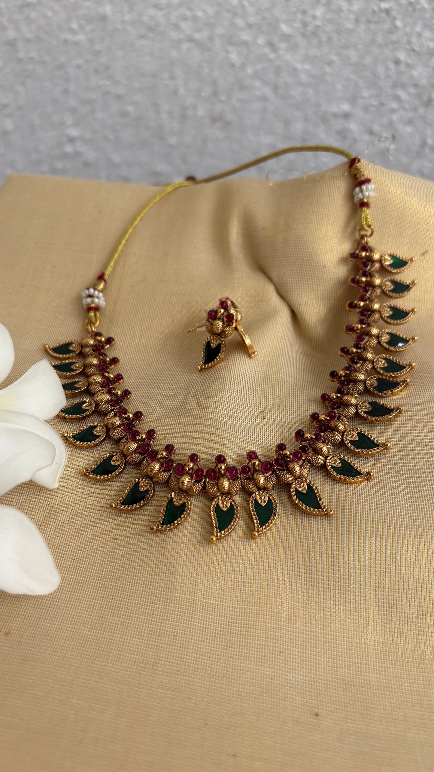 Elegant peacock palakka