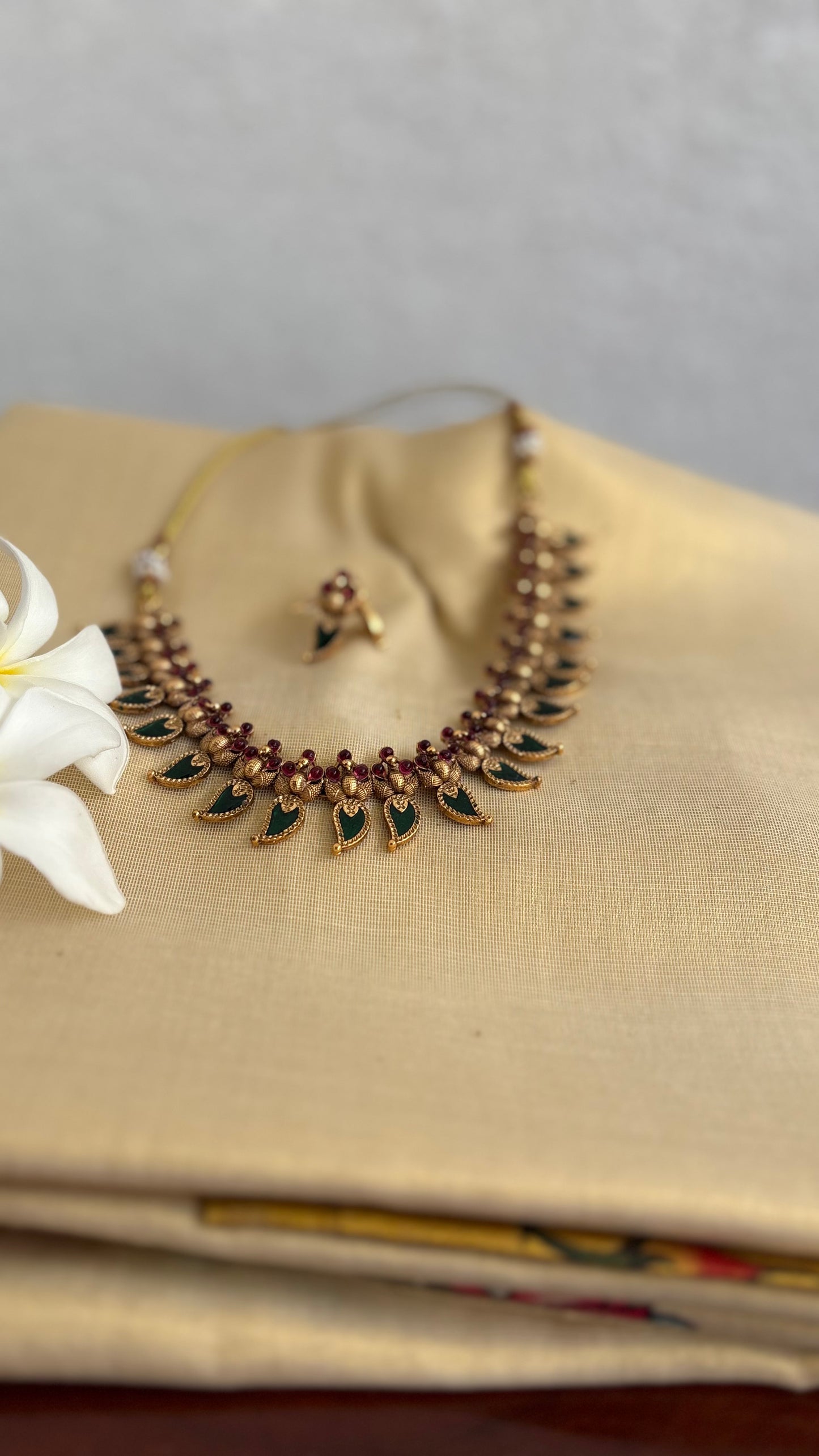 Elegant peacock palakka