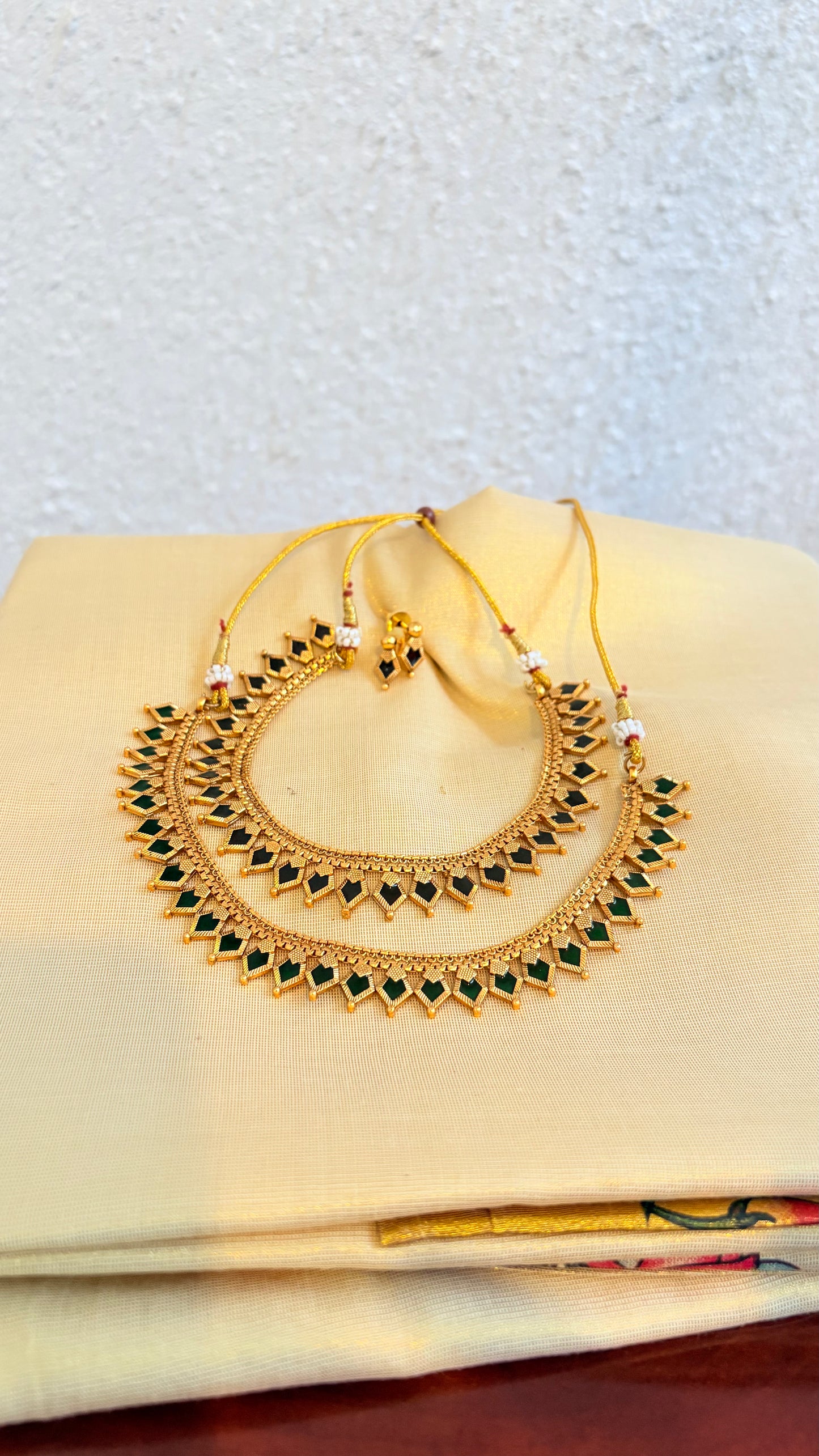 Palakka traditional new 1