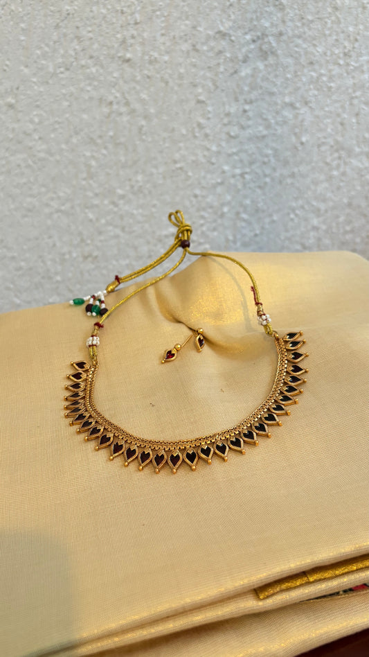 Palakka traditional new 2